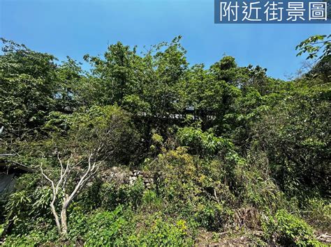 Kt國姓鄉視野臨路持分美農地 南投縣國姓鄉水長流段房屋 Yc0189251 永慶不動產