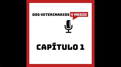 Dos Veterinarios Y Medio Er Podcast Me Dejaban Perros En La Puerta De