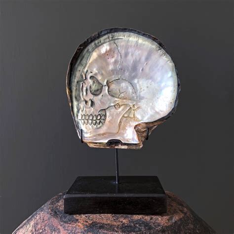 Beautiful Hand Carved Mother Of Pearl Shell Human Skull Catawiki