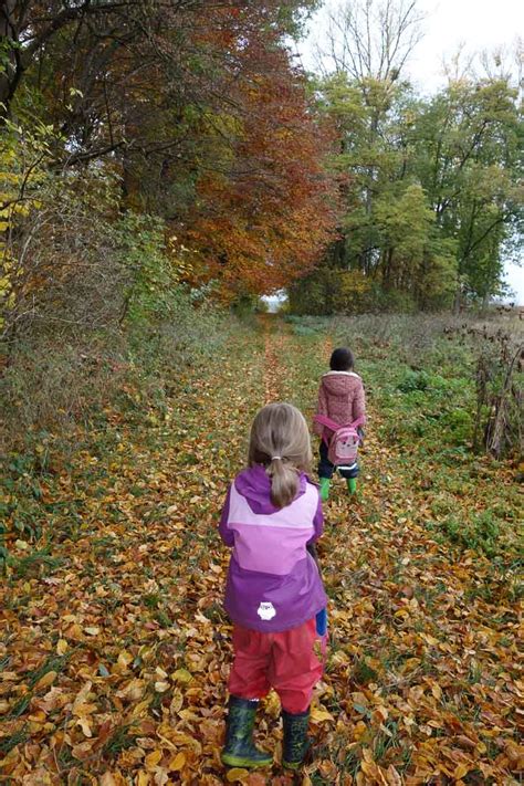 Waldausflug Mit Den Vorschulkindern Kinderg Rten Korntal