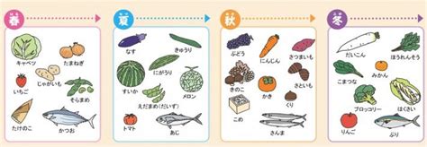 農家直送の野菜！ふるさと納税で旬を手に入れる！ 節約主婦のトクトクまとめ！