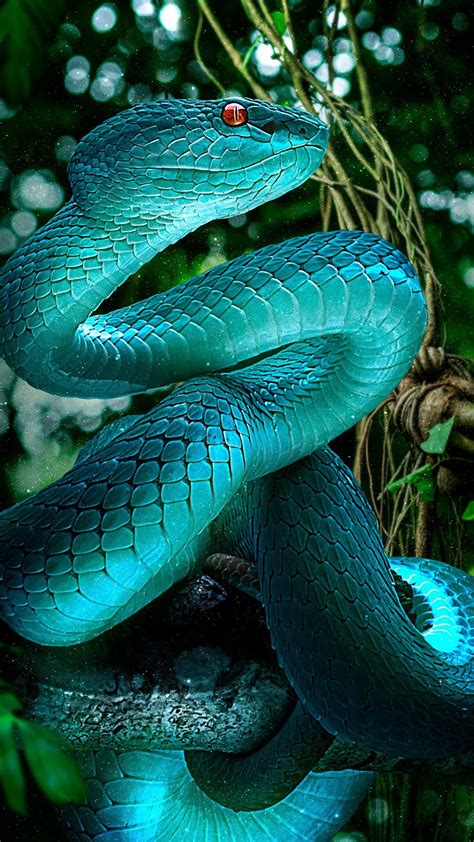 Blue Snake Wallpapers Top Free Blue Snake Backgrounds Wallpaperaccess