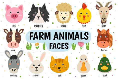 Farm Animals Faces Collection By JuliyaS Art | TheHungryJPEG