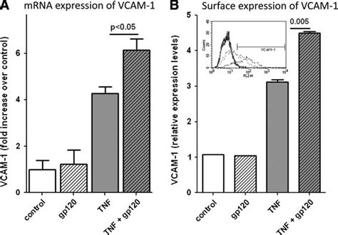 Gp120 Enhances TNF A Induced VCAM 1 Expression In HCAECs HCAECs Were