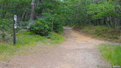 Cape Cod National Seashore ATLANTIC WHITE CEDAR SWAMP TRAIL