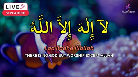 Lailahaillallah Sleep Dzikir For Reduce Stress Youtube