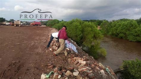 Clausura Profepa Zona Federal En Asunci N Ixaltepec Oaxaca Por