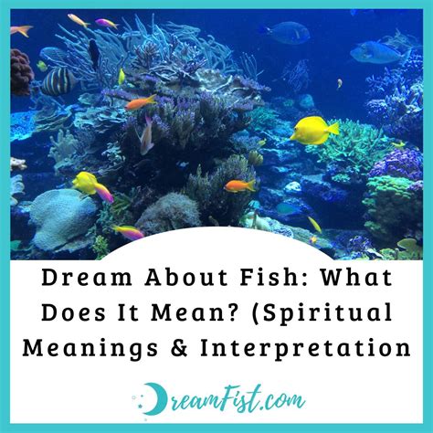 Dream About Fish What Does It Mean Spiritual Meanings