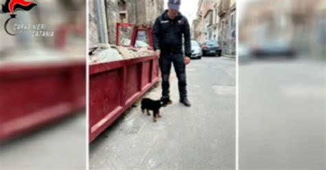 Catania Espugnato Fortino Della Droga