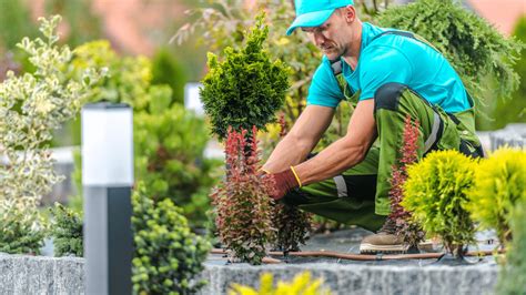 Cómo Trabajar De Jardinero