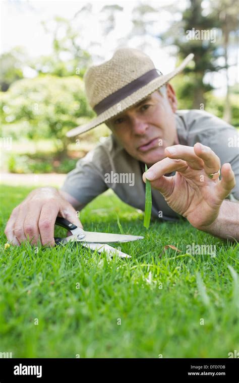 Man cutting grass with scissors Stock Photo - Alamy