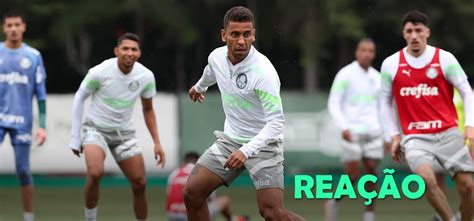 Marcos Rocha Cita Dificuldades Do Paulista E Espera Palmeiras Mais