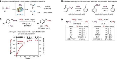 Acid Catalyzed Decarboxylation Mechanism