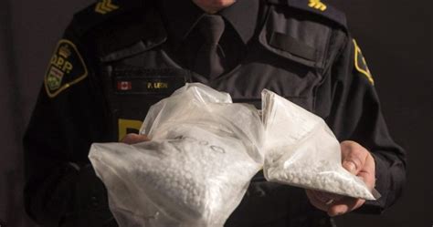 Here Are Some Of Canadas Largest Drug Busts Over The Last 25 Years