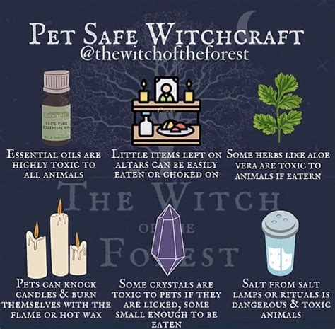 Beginner Witch Research Topics How To Do Basic Witchcraft Artofit