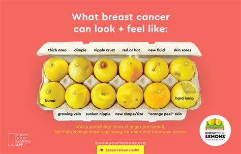 Know Your Lemons Foundation Case Study A Global Campaign