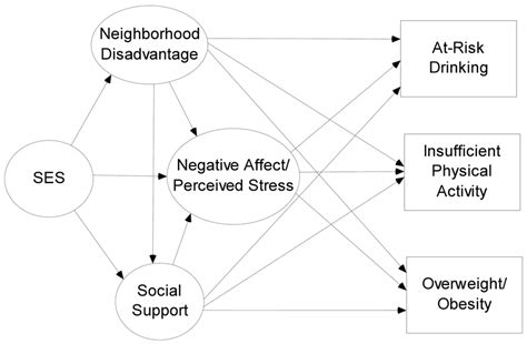 Initial Conceptual Model Of The Pathways Between Socioeconomic Status