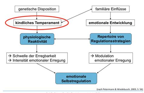 T Entwicklungspsychologie Karteikarten Quizlet