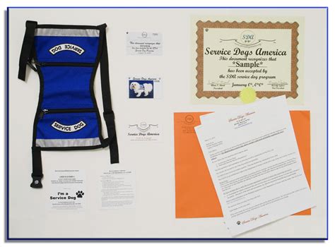 Service Dog Certification - Online Service Dog Registration - Service Dog Identification Supplies