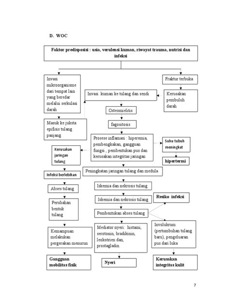 Woc Osteomielitis Pdf