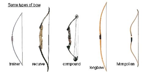 Different Types Of Bows For Archery And Hunting Atelier Yuwa Ciao Jp