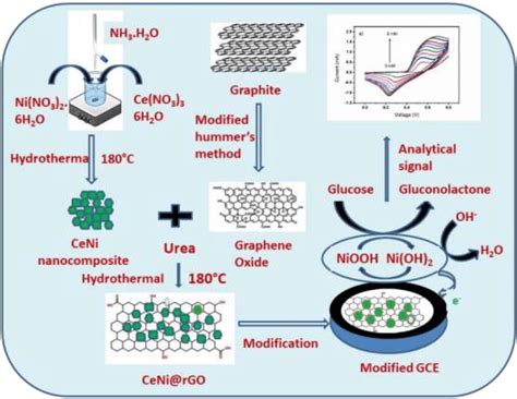 Schematic Representation Of The Modified Electrode Towards Glucose