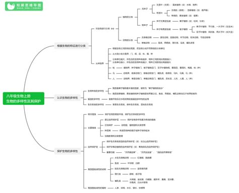 八年级生物上册思维导图 人教版初二生物知识整理知犀官网