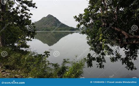 Kurunegala Lake In Sri Lanka Royalty Free Stock Image Cartoondealer