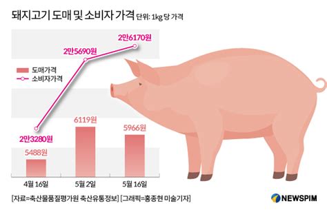 그래픽 돼지고기 도매 및 소비자 가격