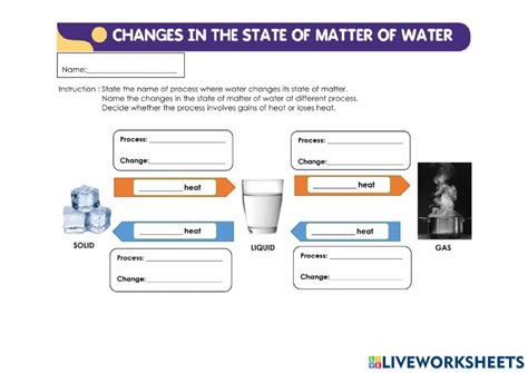 Changes of State in Water | Matter worksheets, States of matter ...