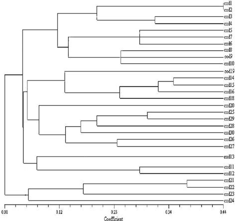 UPGMA Dendrogram Based On Dice Similarity Coefficient Illustrating The