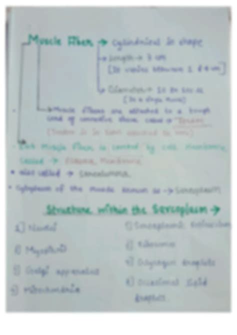 SOLUTION Structure Of Skeletal Muscle Studypool