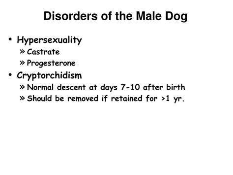 PPT - Reproduction in the Canine and Feline PowerPoint Presentation ...