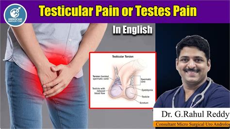 Testicular Pain Or Testes Pain Dr Rahul Reddy Androcare Andrology