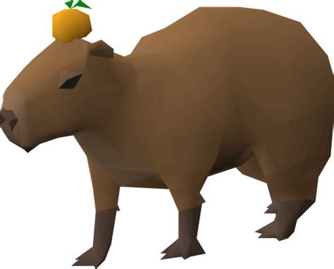 Capybara Osrs Wiki