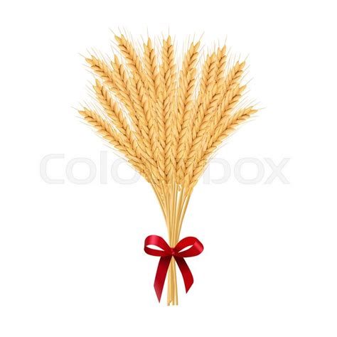 Wheat Bundle Vector at Vectorified.com | Collection of Wheat Bundle Vector free for personal use