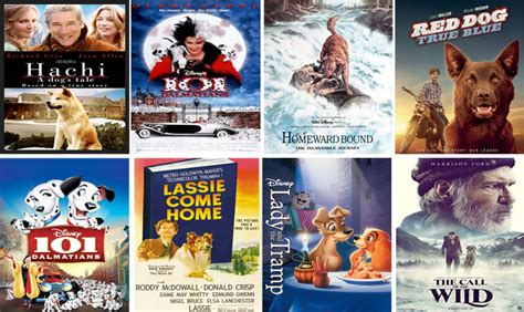 Movies for Dog Lovers: Ultimate Guide