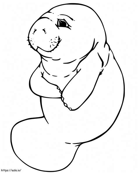 This manatee arrest story has an unexpected hero