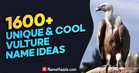 1710+ Cool And Funny Vulture Names Ideas (Generator) 2025