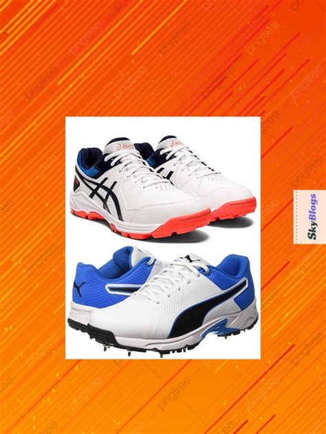 Top 10 Cricket Shoes in India - skyblogs.in Cricket