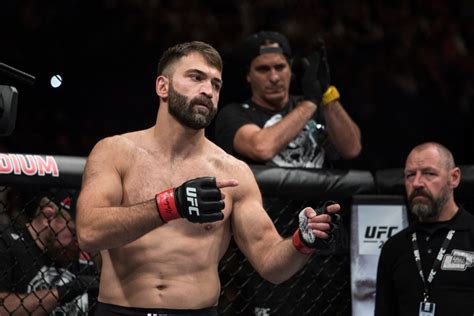 Andrei Arlovski Biographie Parcours En Mma Et Palmar S Ufc