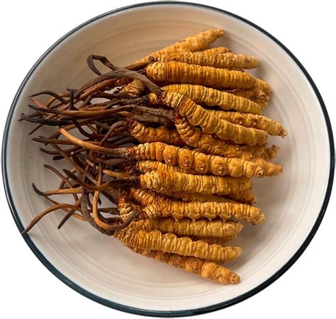 Amazon Gram Wild Himalayan Cordyceps Sinensis Chinese