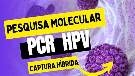 Como Se Faz O Teste De HPV PCR Genotipagem YouTube