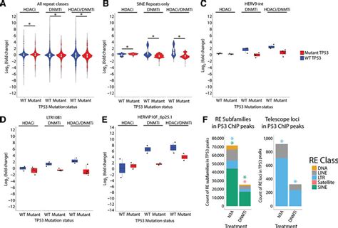 TP53 Mutation Status And Binding Sites Affect RE Expression In Ovarian