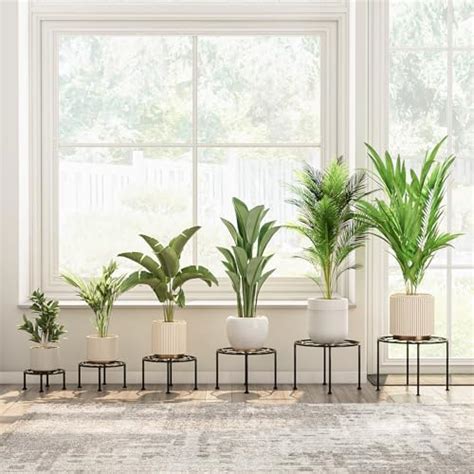 Bamworld Soporte De Metal Para Plantas En Interiores Y Exteriores