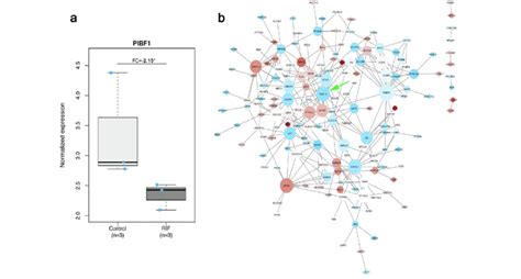 Microarray Results For Pibf Expression A Microarray Results For