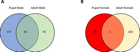 Summary Statistics Of Sex Specific Genes From Female And Male Cx