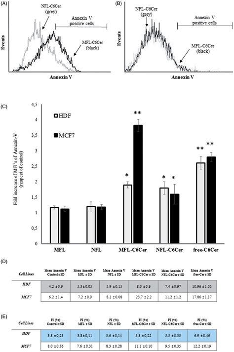 Apoptosis Induced By Ceramide Loaded Mfl Hdf And Mcf Cells Were