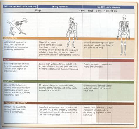 genetics evolution francis social studies