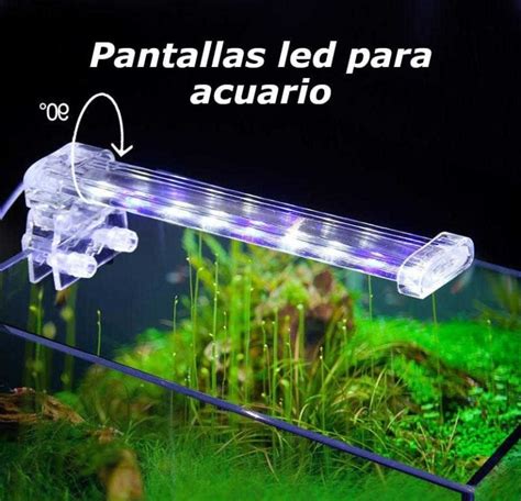 Las Mejores Pantallas Led Para Acuarios Del